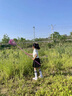 OVE女童套裝夏季2025新款洋氣兒童學(xué)院風(fēng)網(wǎng)球服夏裝大童運(yùn)動時髦裙子 3439白色+1516黑色 140 140cm 曬單實(shí)拍圖