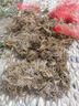 【現挖】紫色新韭菜根小葉特香盆栽庭院栽種綠植紫根紅根本地苗窄 【精挑新顆】500顆 曬單實(shí)拍圖