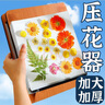 Aseblarm壓花器植物標(biāo)本制作工具押花器板手工diy自制干花樹(shù)葉標(biāo)本材料包 【中號(hào)】實(shí)用型押花器 18*24cm（可壓6層） 曬單實(shí)拍圖