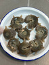弈騰【無冰衣】海參即食刺參大連鮮活遼參野生海生500g鮮食活蒸底播 1斤 活蒸海參（聯(lián)系客服送海腸） 頭數(shù)10-15/斤 曬單實拍圖