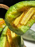 感光之水山東羊角蜜甜瓜 脆甜多汁當季現(xiàn)摘頭茬脆甜蜜瓜新鮮水果香瓜 蔬菜 精選羊角蜜凈重3斤裝 曬單實拍圖