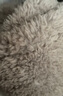 無印良品（MUJI） 聚酯纖維 抓絨 便攜圍巾 圍脖 DD0ILA3A 淺綠色 20*100cm 曬單實(shí)拍圖