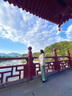 兆君2025春夏紅云紗新款中式國風上衣重磅桑蠶絲圓領長袖寬松女裝 紅色 2XL 曬單實拍圖