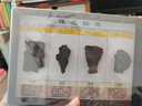 地理標(biāo)本 土壤剖面天然巖石礦物化石煤炭石油金屬礦物 煤炭 規(guī)格：21*15*3 曬單實拍圖