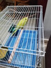 鳥籠鸚鵡籠子小中大型鴿子籠家用虎皮玄鳳專用窩帶喂食器鳥類用品 中號【40*30*30】食盒+站桿+托盤 大容量鳥類通用籠 折疊免安裝方便收納 1cm加密防鉆防卡 曬單實(shí)拍圖