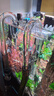聚創(chuàng)麒玻璃進(jìn)出水管除油膜增氧口氣泡魚(yú)缸循環(huán)水套裝喇叭半球口除油膜器 【進(jìn)水】除油膜25cm[管徑16mm] 曬單實(shí)拍圖