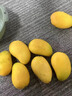 海南小臺(tái)農(nóng)芒果10斤裝新鮮小臺(tái)芒當(dāng)季特產(chǎn)水果現(xiàn)摘芒果大果整箱 5斤小果(50-70g) 曬單實(shí)拍圖