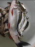 蘆葦羅非漂福壽魚漂短腳長尾底釣漂靈敏鯽魚漂翻身快的浮漂 K-1【吃鉛1.21.9克】 2號(hào) 曬單實(shí)拍圖