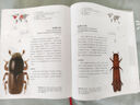 自然博物館叢書 博物文庫 北京大學(xué)出版社 甲蟲博物館 曬單實拍圖