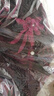 經(jīng)典故事（JANE STORY）2025新款秋季高貴洋氣絲絨旗袍連衣裙女復(fù)古氣質(zhì)新中式修身旗袍裙 酒紅色 L 曬單實拍圖