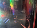 SOLIDIGM&英特爾（Intel）S4520 480G 數(shù)據(jù)中心企業(yè)級(jí)固態(tài)硬盤SATA3接口2.5英寸【SSDSC2KB480GZ01】 曬單實(shí)拍圖