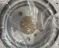格羅德適配大眾朗逸速騰寶來凌渡polo邁騰CC帕薩特途觀桑塔納前后剎車盤 大眾邁騰/2000-2025年 前輪一對(duì) 曬單實(shí)拍圖