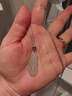 百博七夕翡翠四季豆吊墜女款冰種18K金扣鑲玉福豆玉石 老坑A貨帶證書 白金色扣頭 曬單實(shí)拍圖