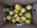 粵迎黃金百香果欽蜜9號【源頭直采】廣西香甜多汁現(xiàn)摘百香果當季水果 凈3斤精選裝【單果40g+】 曬單實拍圖