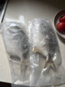北海灣 新鮮海捕金鯧魚(yú) 大鯧魚(yú)海鮮平魚(yú)冷凍扁魚(yú)冰鮮大鯧魚(yú)海魚(yú)銀魚(yú)魚(yú)類(lèi) 【凈重400-500克/條】 共4條 曬單實(shí)拍圖