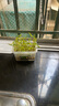 曇蓓漫水培植物觀(guān)察盒綠植豆芽容器生長(cháng)種植學(xué)生兒童盆栽幼兒園實(shí)驗 水培種植套裝(豆芽) 【送噴壺/無(wú)土種植】 曬單實(shí)拍圖