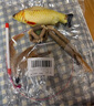 寵德多貓玩具五件套逗貓棒貓咪玩具套裝逗貓激光筆貓磨牙棒貓薄荷木天蓼 貓玩具五件套 曬單實拍圖