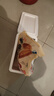 胖碩蒸油條半成品早餐食品學(xué)生早餐食品面點速食方便食品 蒸油條500g（約10根） 曬單實拍圖