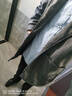 安初夏中長(zhǎng)款?yuàn)A克外套男士休閑套裝春秋季痞帥氣搭配修身衣服男裝三件套 1591灰色外套黑色毛衣套裝 XL 曬單實(shí)拍圖