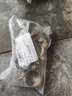 勁功（JINGGONG）強(qiáng)力型喉箍鍍鋅加厚歐式管箍重型管夾抱箍卡箍緊箍水管油管 鍍彩鋅 23-25mm (5個(gè)) 曬單實(shí)拍圖