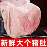 【順豐】豬肚新鮮整只大肚特厚大肚子農(nóng)家散養(yǎng)干凈無油生豬肚整箱 特大豬肚2個(gè)【2.4斤左右不注水】 曬單實(shí)拍圖