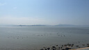 集簡(jiǎn)季奶油風(fēng)臥室裝飾畫高級(jí)感簡(jiǎn)約主臥床頭掛畫組合墻面風(fēng)景壁畫 曬單實(shí)拍圖