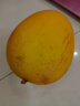 甜果源 黃金蜜瓜 黃河密瓜甜瓜黃皮香瓜海南特產(chǎn)應季時(shí)令新鮮水果禮品盒 凈重3斤【嘗鮮裝】 曬單實(shí)拍圖