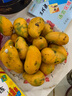 京喜加小臺農芒果新鮮小臺芒當季特產(chǎn)水果  輕微花皮半熟果發(fā)貨 小臺芒5斤單果50-70克 曬單實(shí)拍圖