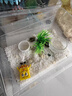 寵小帥爬寵加熱墊魚缸加溫墊蜥蜴角蛙斗魚烏龜寵物水族箱加溫控溫器設(shè)備 【12W】恒溫款 28x15cm【贈(zèng)】水溫計(jì) 曬單實(shí)拍圖