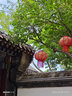 牧世爵無袖t恤男潮夏季潮牌男生坎肩男士運(yùn)動(dòng)健身籃球砍袖背心男款 K44綠色 XL 曬單實(shí)拍圖