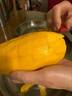 竹哈哈【順豐】海南金煌芒果特大果新鮮水仙芒大青芒果端午水果禮盒三亞 5斤精選大果 曬單實拍圖