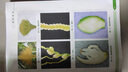套裝兩冊檳榔栽培+檳榔主要有害生物綠色防控 檳榔種植技術大全書籍 檳榔病蟲害識別與診斷 檳榔種植書 檳榔栽培新技術書檳榔病蟲害防治及安全用藥書 檳榔現代加工技術 曬單實拍圖