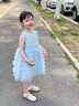 班喜迪女童連衣裙夏裝2026新款洋氣裙子兒童網(wǎng)紗蓬蓬裙夏季女寶寶公主裙 藍色 120 曬單實(shí)拍圖