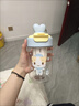 USERJOY女生高顏值水杯塑料杯塑料2025新款可愛(ài)吸管杯子學(xué)生便攜隨手水杯 棉花貓水杯【藍色圓環(huán)】600ml 曬單實(shí)拍圖