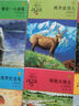 最后一頭戰(zhàn)象 新版 動物小說大王沈石溪品藏書系 兒童文學(xué)課外書 沈石溪動物小說 課外閱讀 閱讀 課外書暑假作業(yè) 一升二暑假銜接 小升初暑假銜接 曬單實拍圖
