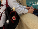 FJALLRAVEN北極狐雙肩包kanken男女戶外大容量書包電腦包運動旅行背包23510 550-326黑色/公牛紅 16L【可容納14寸筆記本電腦】 曬單實拍圖
