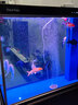 森森超白魚(yú)缸水族箱客廳大型底濾專(zhuān)業(yè)龍魚(yú)缸智能生態(tài)懶人魚(yú)缸 經(jīng)典黑 （高缸矮柜）ID屏風(fēng)款100長(cháng)x43寬x152高 曬單實(shí)拍圖