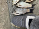 川澤七星漂線(xiàn)組草洞漂野釣浮漂散裝超靈敏度傳統釣鯽魚(yú)漂一套魚(yú)漂 圓柱形A0 (線(xiàn)號0.6-1.5) 七星漂7+1+1(5組裝) 曬單實(shí)拍圖