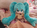 泰利奇初音未來(lái)棉花娃娃 miku20cm二次元同人周邊毛絨公仔節(jié)日禮物 20cm 無(wú)骨裸娃 曬單實(shí)拍圖