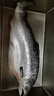 聚鮮品挪威進口冰鮮整條三文魚(大西洋鮭)14-12斤一條 可選擇發(fā)貨方式 要整條發(fā)出 曬單實拍圖