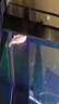 招財進(jìn)寶中國紅錦鯉金魚(yú)活體冷水觀(guān)賞魚(yú)草金魚(yú)小型寵物好養耐活 黑黃白紅6-8cm各一條 曬單實(shí)拍圖