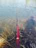 北溟魚(yú)朱雀三代魚(yú)竿釣魚(yú)竿手竿超輕小綜合竿鯉魚(yú)鯽魚(yú)竿碳素28調臺釣竿 6.3m 朱雀三代小綜合 曬單實(shí)拍圖