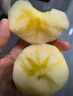 阿克蘇蘋果;AKSU；AKESU APPLE正宗阿克蘇魯麗嘎啦蘋果【順豐】紅旗坡新鮮時令紅富士蘋果園直發(fā) 新疆嘎啦小蘋果5斤【70-75mm】 曬單實拍圖