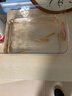黃金鰍小金龍觀賞魚活體招財黃金泥鰍冷水魚風(fēng)水魚清潔魚 黃金鰍8-11厘米4條 曬單實拍圖