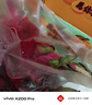 CAIFAN海南蜜寶 紅心火龍果 金都一號單果約400~500g 新鮮當季水果禮盒 曬單實(shí)拍圖
