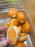 澤鮮達海南黃肉菠蘿蜜一整顆 應季樹(shù)上熟新鮮水果一整個(gè)紅心波羅蜜整箱 2斤純果肉 曬單實(shí)拍圖