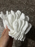 兒童白手套薄款透氣幼兒園小學(xué)生初中表演白色禮儀手套體操團體 【建議6-10歲】 兒童禮儀手套 【3雙裝】 曬單實(shí)拍圖