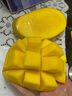 海南金煌芒果10斤生鮮水果當(dāng)季現(xiàn)摘熱帶新鮮水仙大芒果甜心芒果 精選1斤裝 小果【試吃】青皮黃皮隨機(jī)發(fā) 曬單實(shí)拍圖