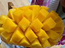 懿鮮匯海南金煌芒水仙大芒果現摘新鮮應季甜心芒熱帶孕婦水果年貨送禮 3斤裝【無(wú)禮盒】 【JD順豐-送貨上門(mén)】 曬單實(shí)拍圖