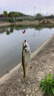 熊火熊火釣魚傘2.2m雙層遮陽防雨風(fēng)加厚黑膠釣傘可調(diào)節(jié)戶外沙灘傘 曬單實(shí)拍圖